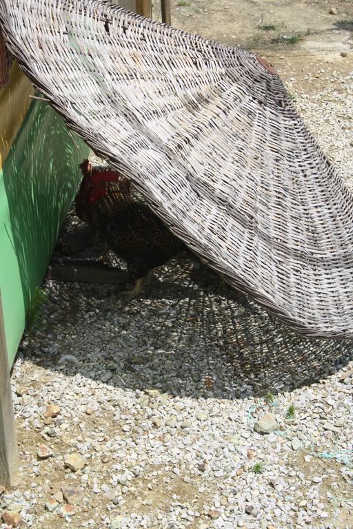 Zumrut Bahce Motel Gokcedere Luaran gambar